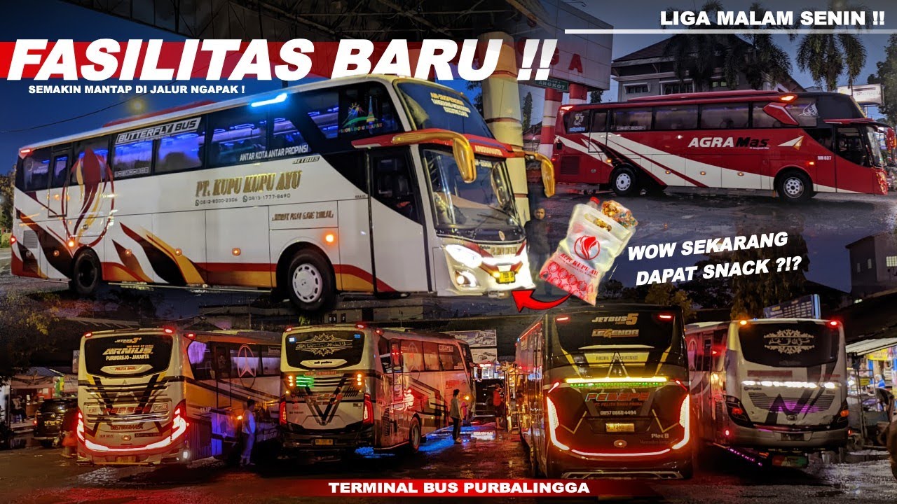 TAMBAH FASILITAS, KUPU KUPU AYU SEMAKIN DIMINATI❓ PEBEPE MENDOMINASI🔥AGRA MAS ROLLING BUS LAGI❓