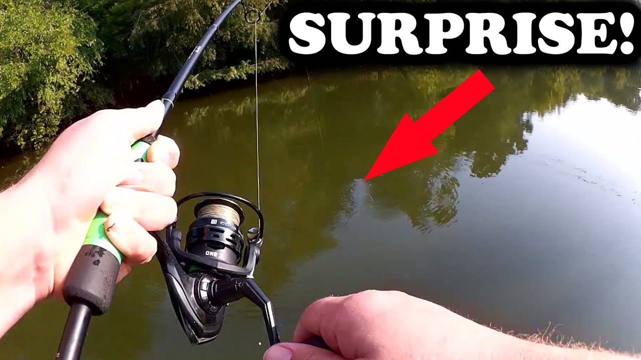 Realistic Fishing Gone Wrong! Surprise Catches When Fishing for Bass!