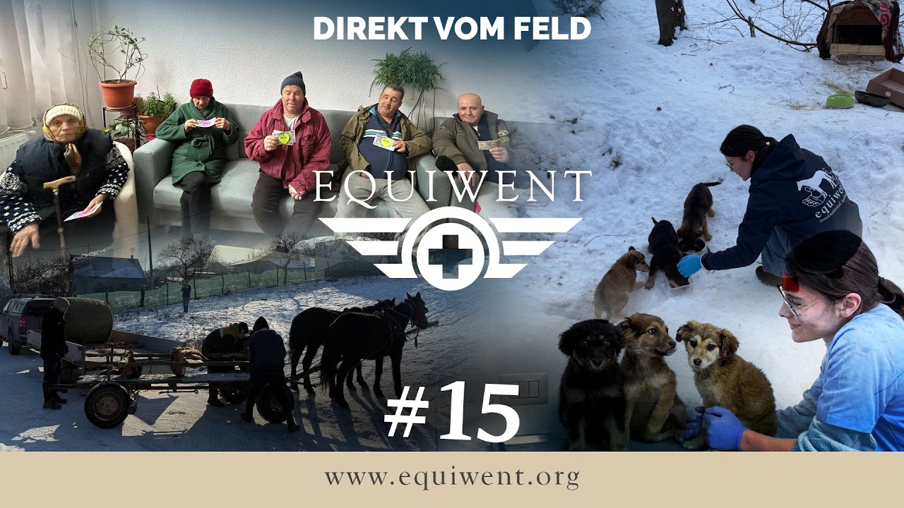 Equiwent - Direkt vom Feld #15 - Winterhilfe, Kastrationen & Unterstützung im Lepradorf