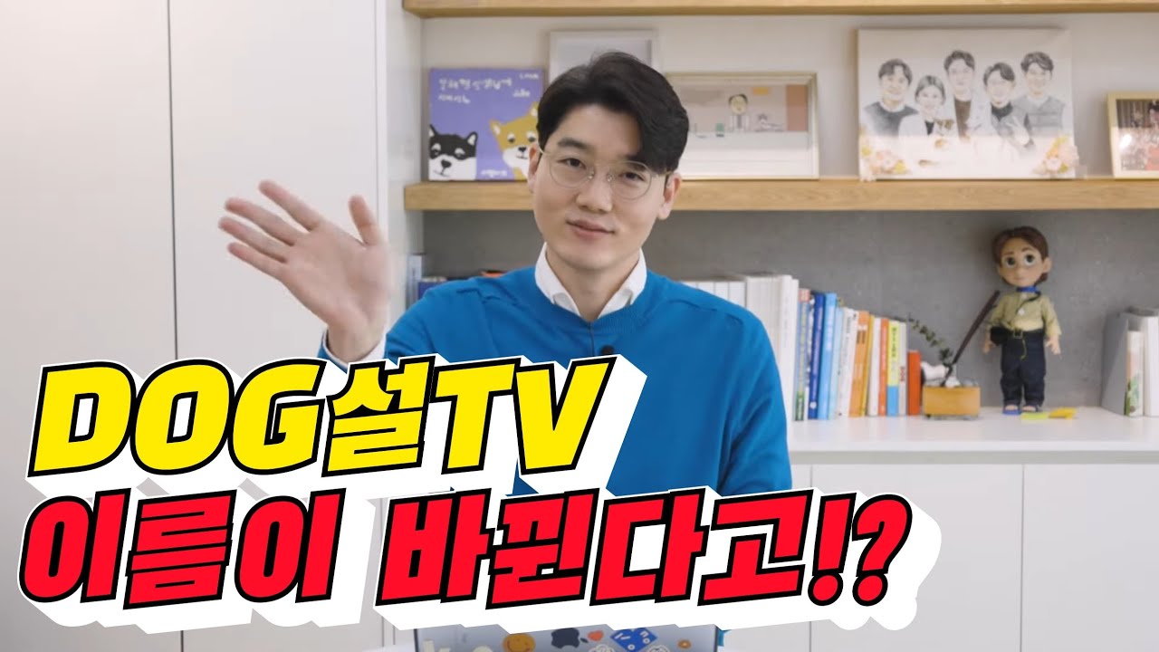 [공지] DOG설TV 구독자님~ 주목해주세요!! | 🎁 설치니분들을 위한 이벤트도 있어요!