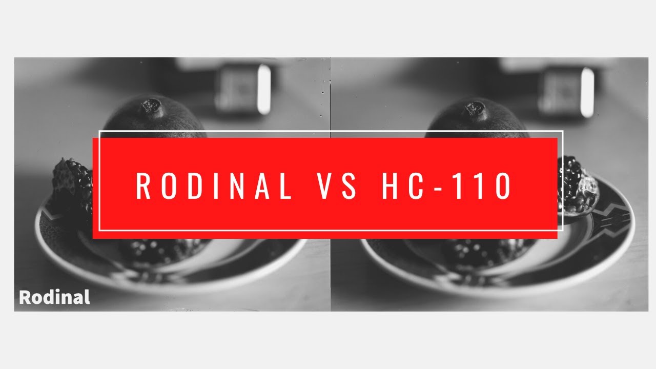 Rodinal vs. HC-110