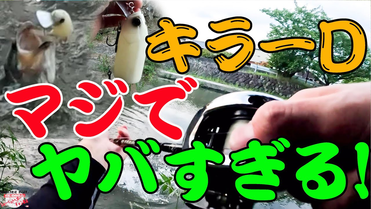 キラーDのルアーパワーがヤバい！！！【琵琶湖遠征】【おかっぱり】【バス釣り】【レイドジャパン】
