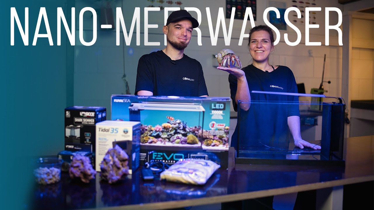 HOW-TO: Nano-Meerwasseraquarium einrichten - ein Zuhause für Einsiedlerkrebs Robert