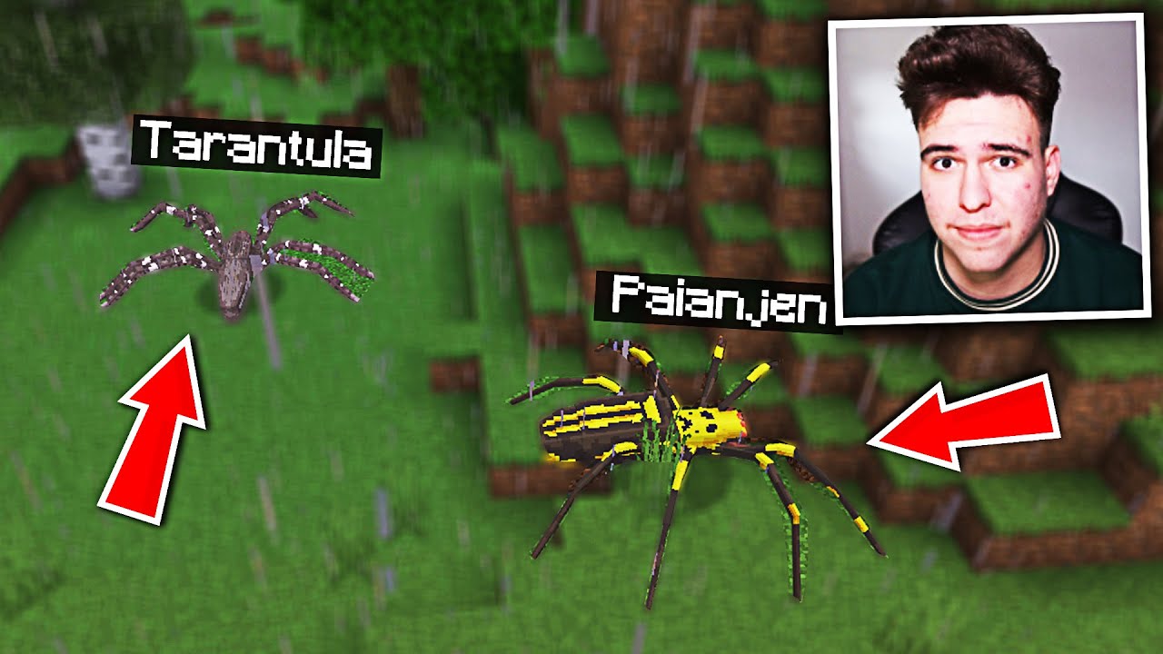 AM ADĂUGAT 30+ PĂIANJENI GIGANTICI în MINECRAFT !! *Tarantula*