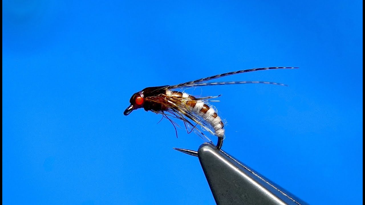 Tying a McPhail Caddis Pupa by Davie McPhail