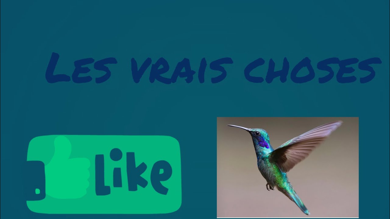 #incroyable un artiste de g&eacute;nie cr&eacute;&eacute; de faux billets ind&eacute;tectable #films