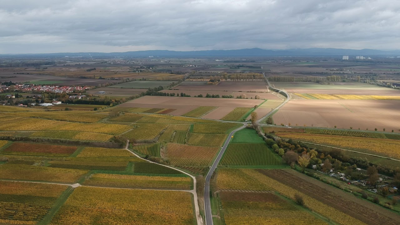 Luftaufnahme aus Bechtheim