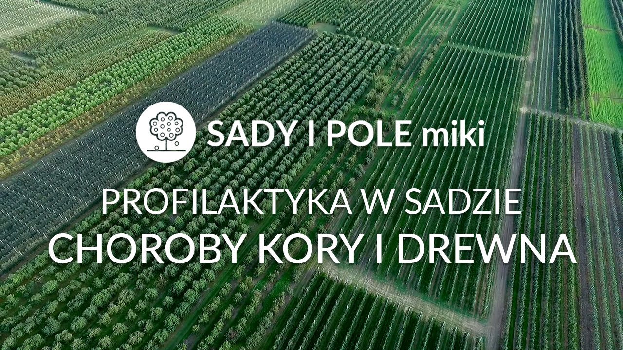 SADY I POLEmiki odc. 26 Profilaktyka w sadzie - choroby kory i drewna
