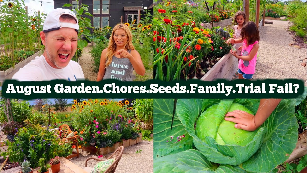 Garden Vlog August 1 | Garden Chores | Seed Saving | Trial Garden Fail & Fix | Holy Sunflowers!!!