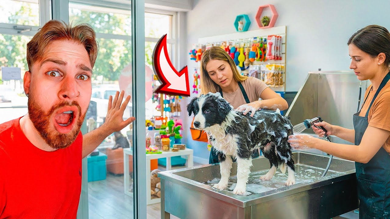 LEVEI MINHA CACHORRINHA ZARA NO PETSHOP PELA PRIMEIRA VEZ NA VIDA 😍🐶