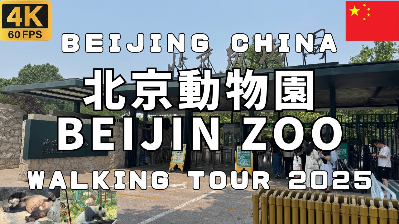 [4K] Beijing Zoo 北京動物園 Beijin China Walking Tour 2025
