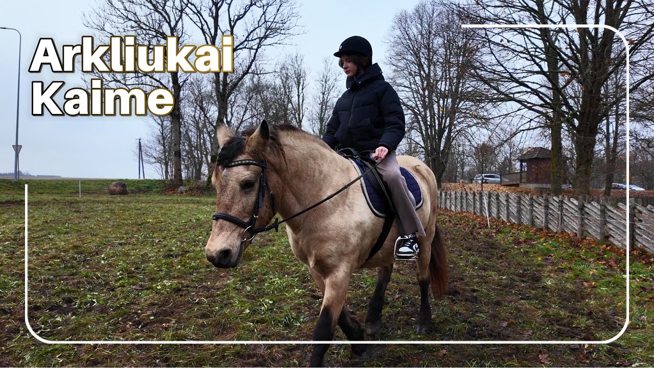 Edukacinė stovykla vaikams su žirgais | Arkliukai kaime | Kretingos rajonas