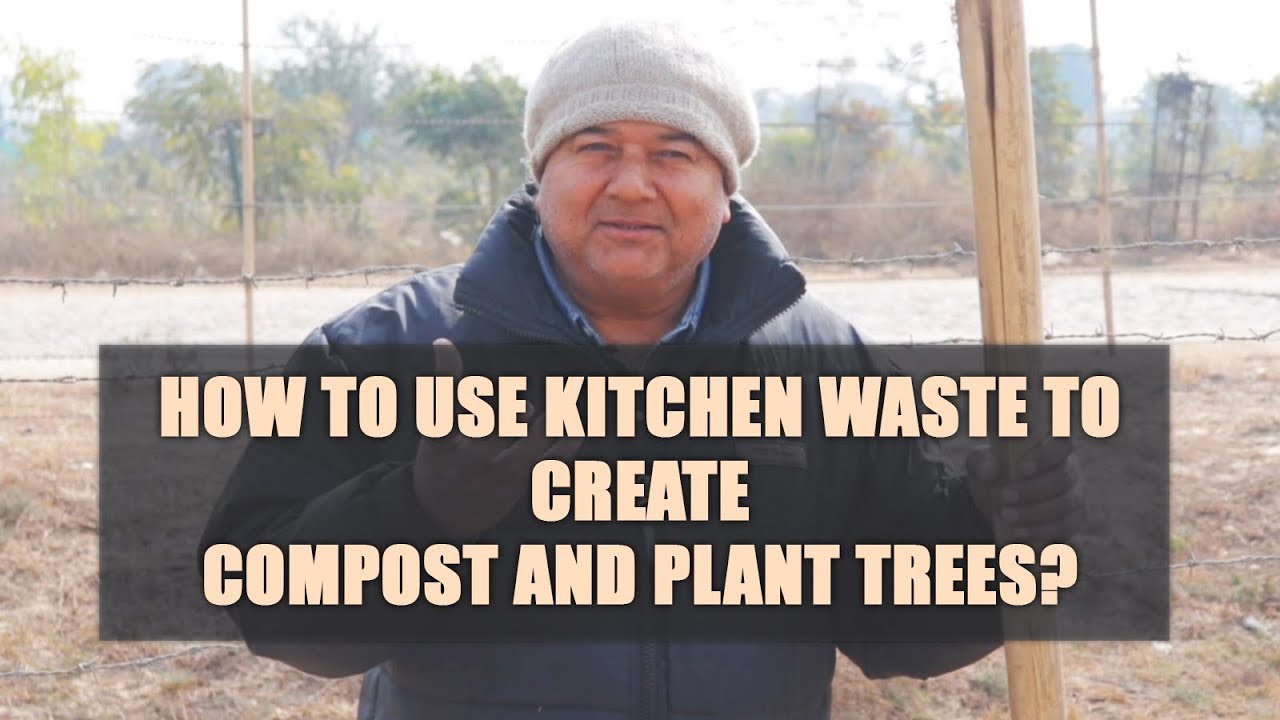 How to make compost from kitchen waste?