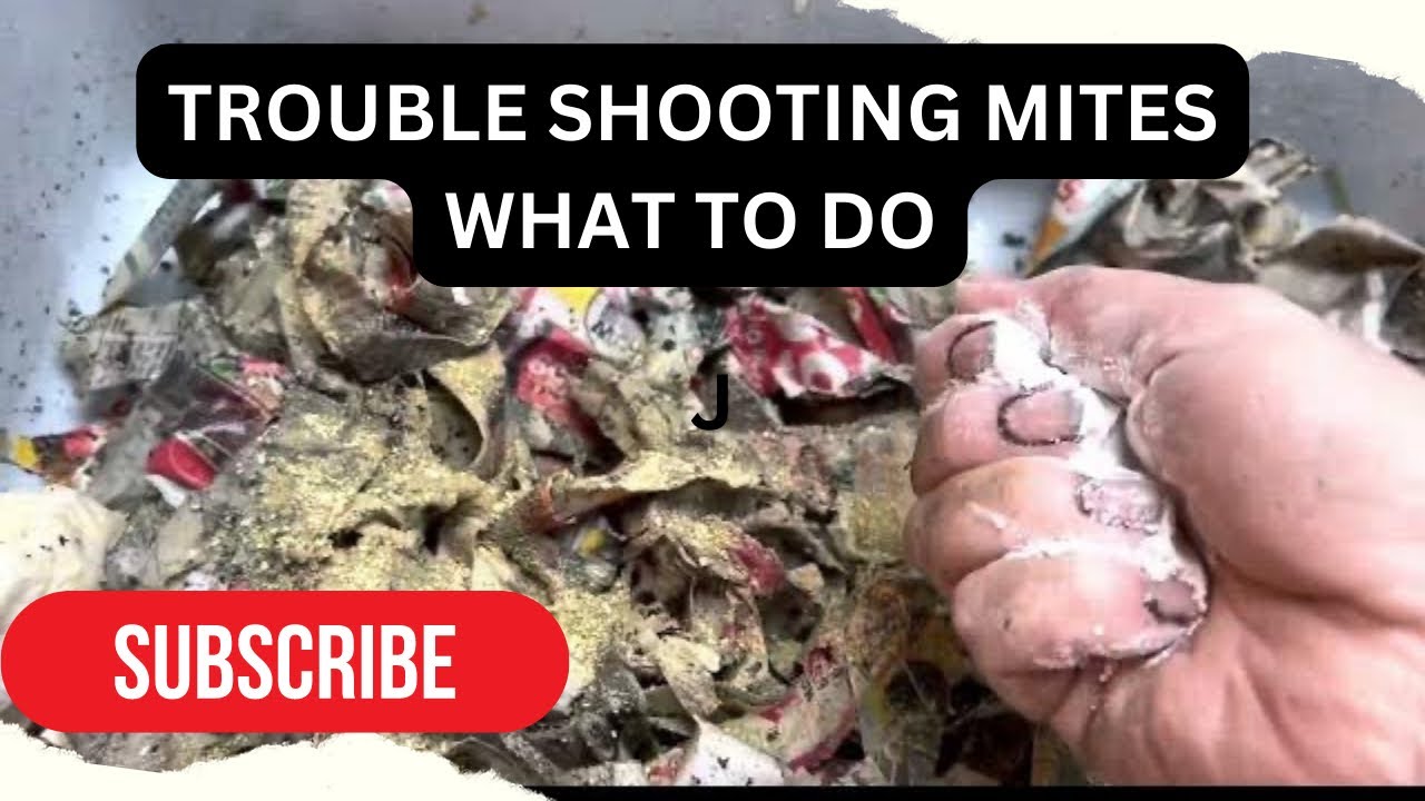 What to do when you see Mites, trouble shooting 
