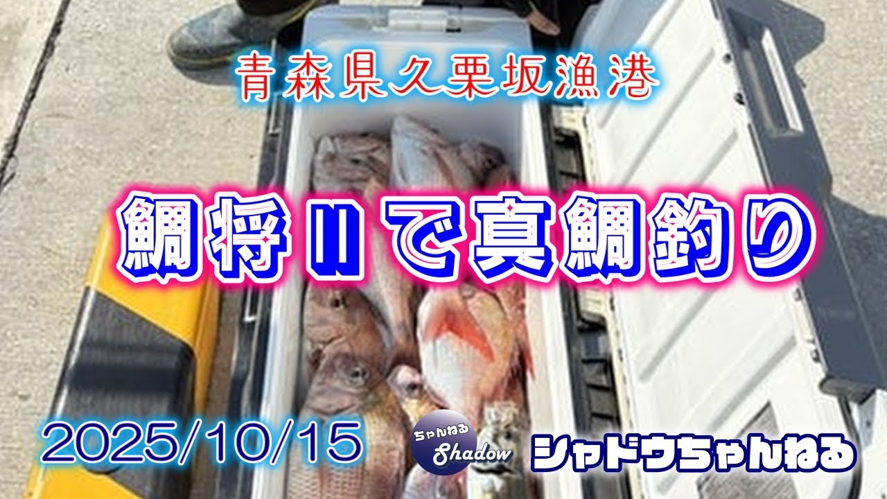 25 10 15 陸奥湾で真鯛釣り