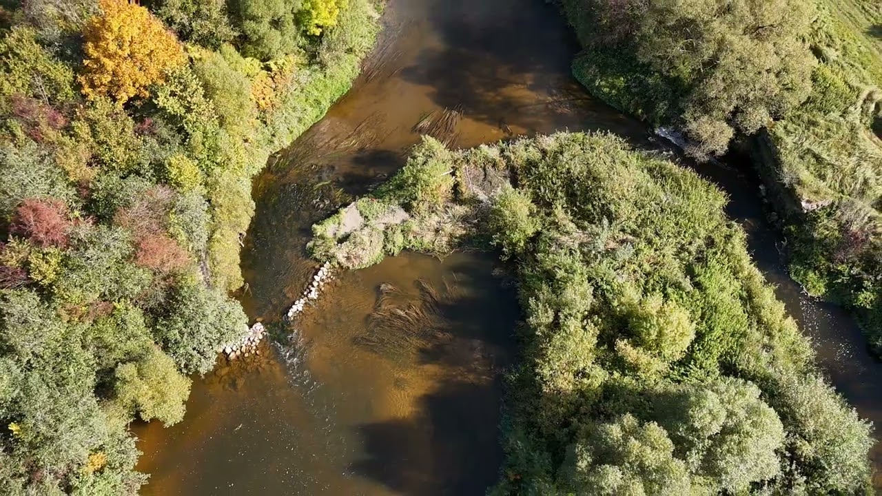 Šventoji, Širvinta, Samantonių tvenkinys 
