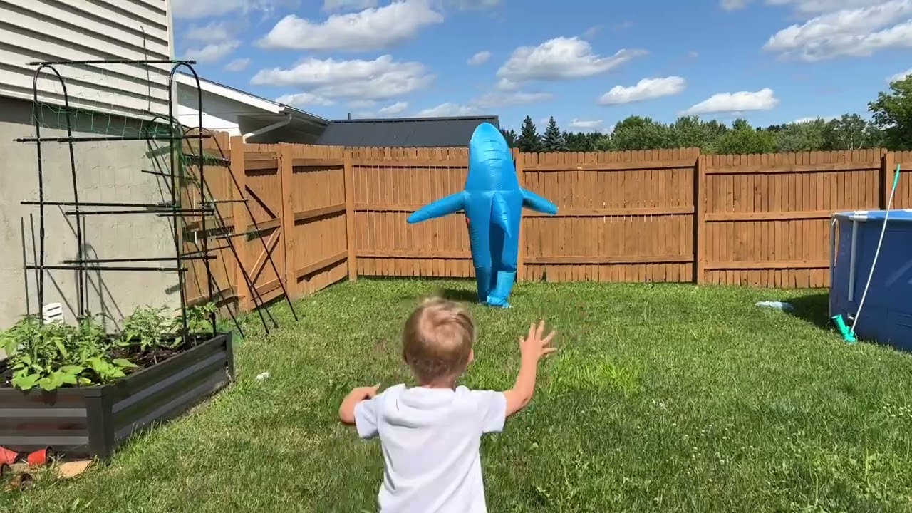 inflatable shark costume for Halloween