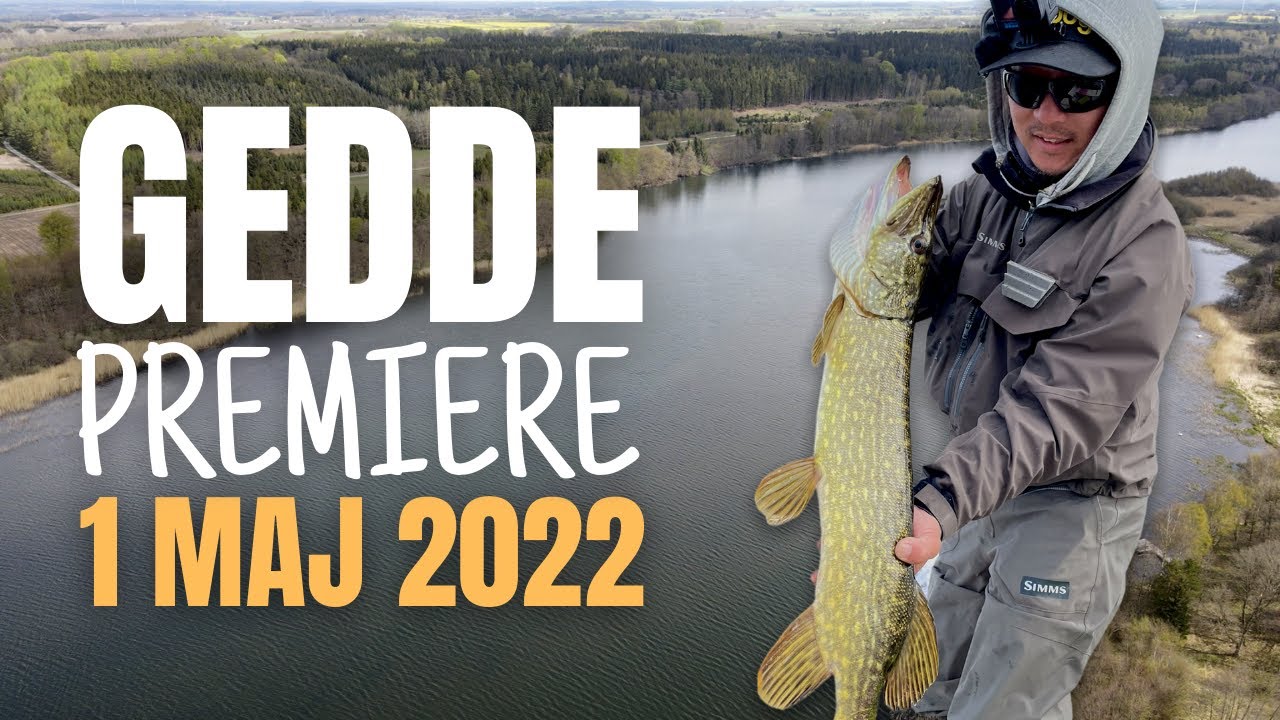 Premiere dagen 1 maj | Geddefiskeri | Tangsø