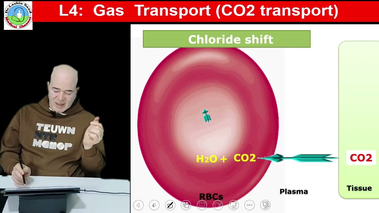 L4   Gas  transport CO2  transport