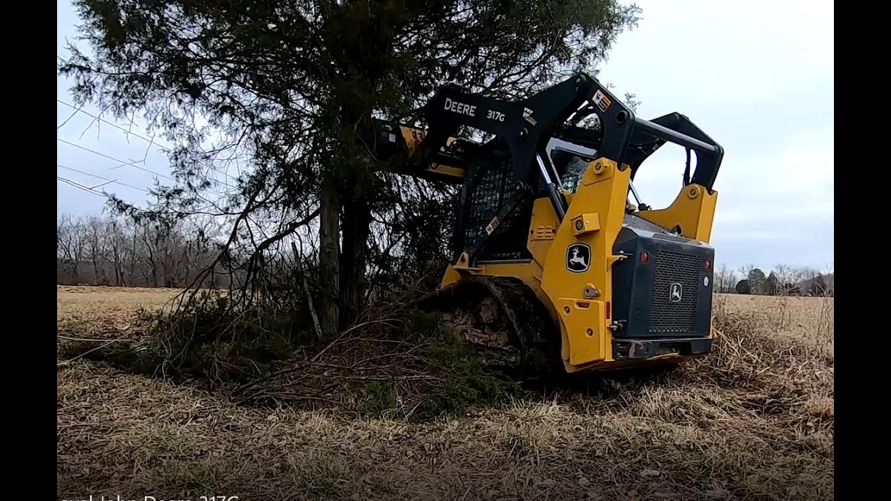 John Deere 317g Track Loader Taking Out a Big Cedar Tree