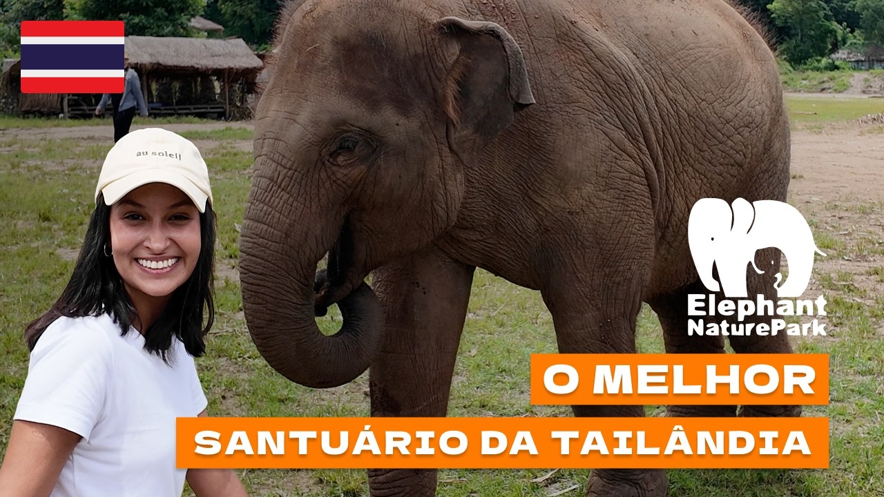 SANTUÁRIO DE ELEFANTES NA TAILÂNDIA