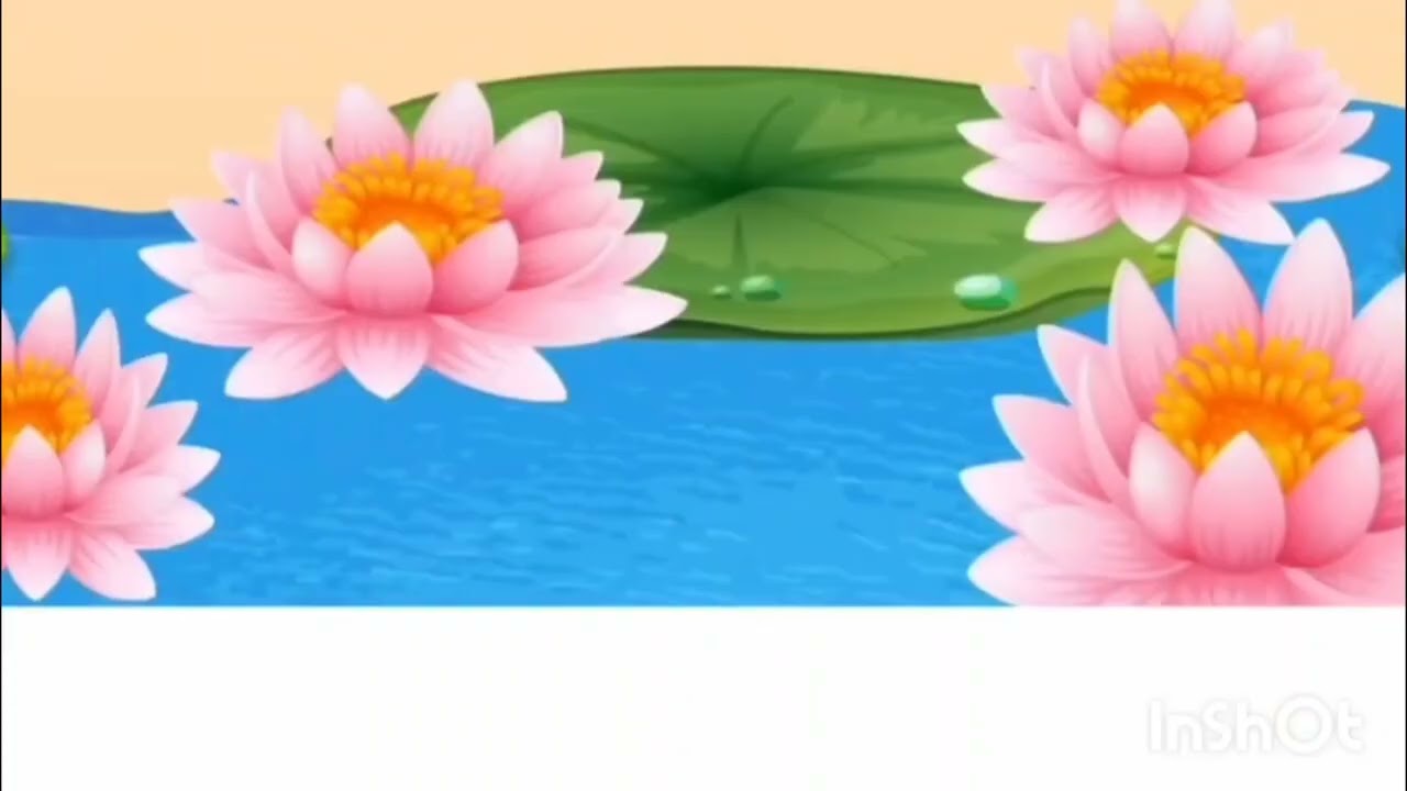 Adaptation of lotus plants.... 