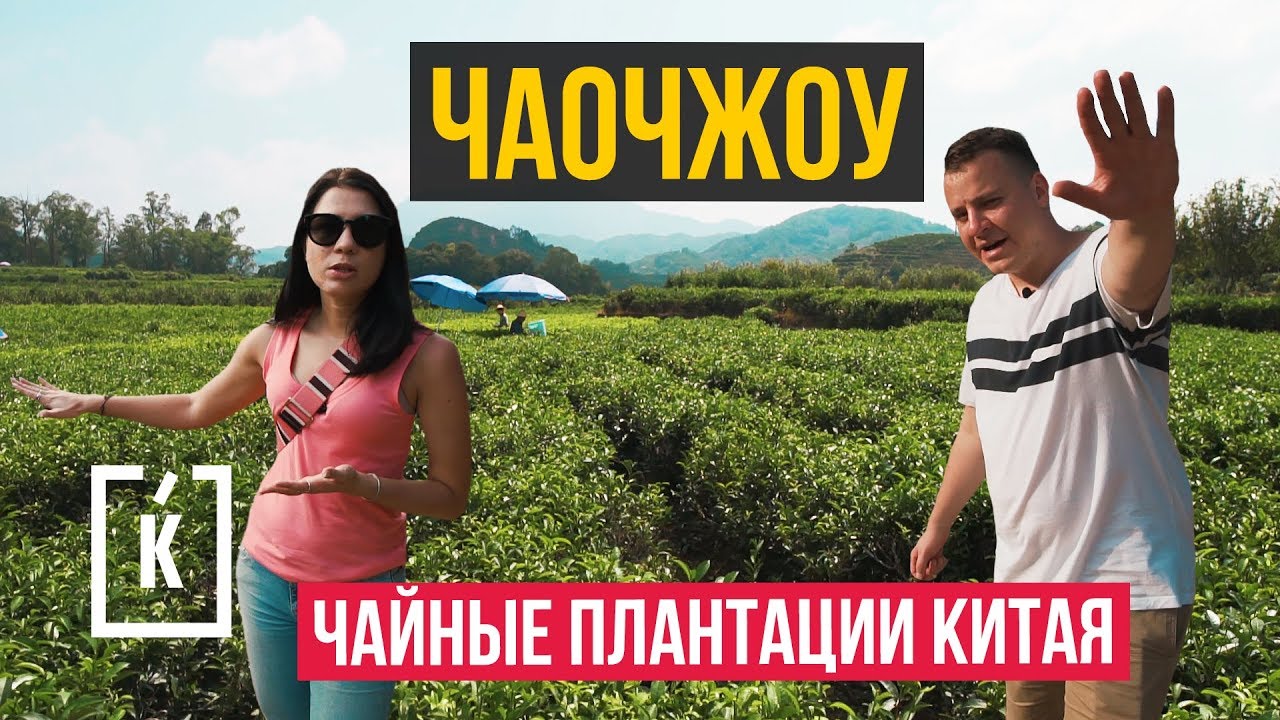 Китайский чай. Огромные чайные плантации Китая + КОНКУРС #Китайчек