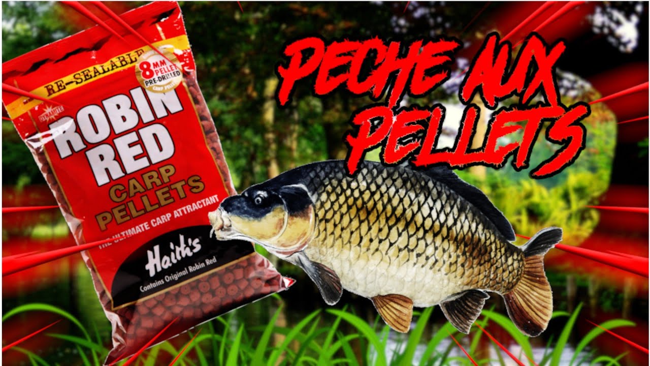 Lac de Maison Blanche | Gagny | pêche de la carpe