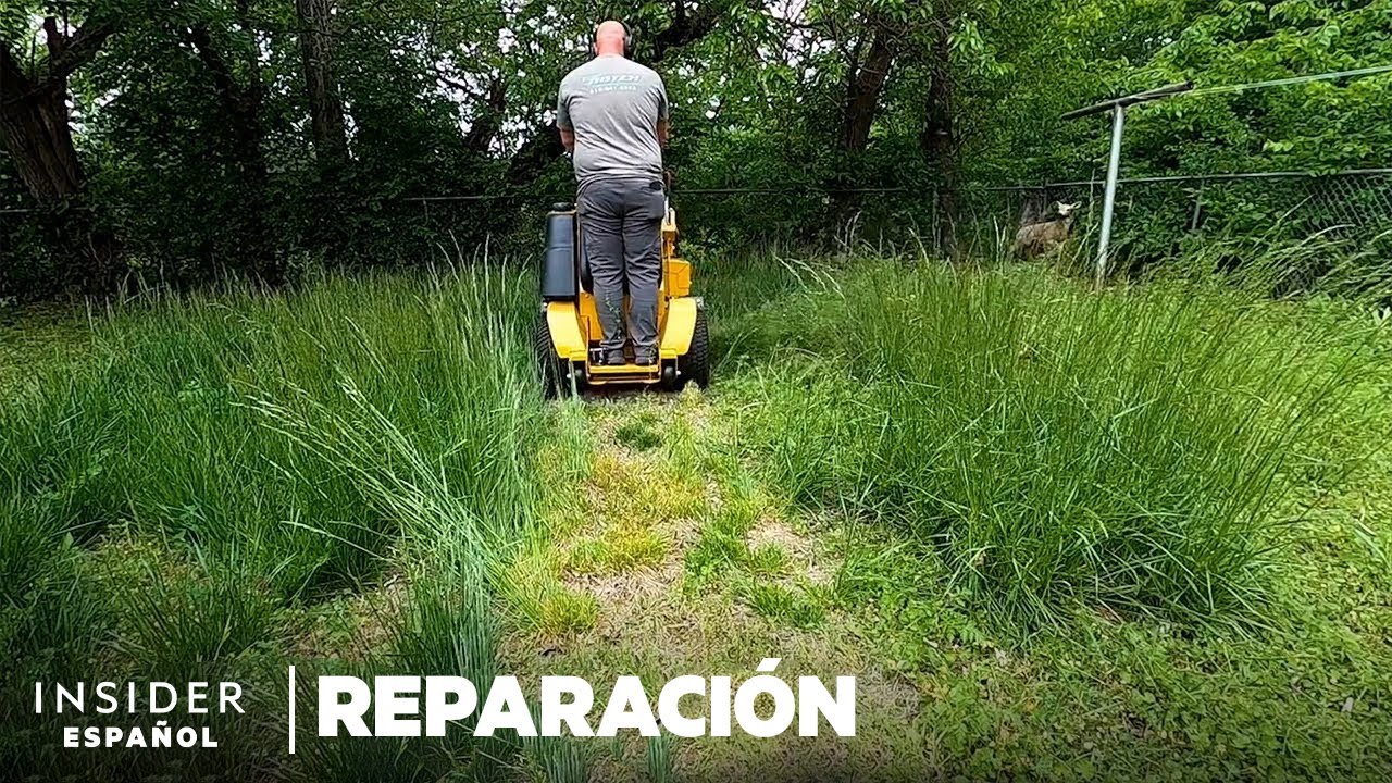 Cómo se arregla profesionalmente un patio abandonado por 2 años | Reparación