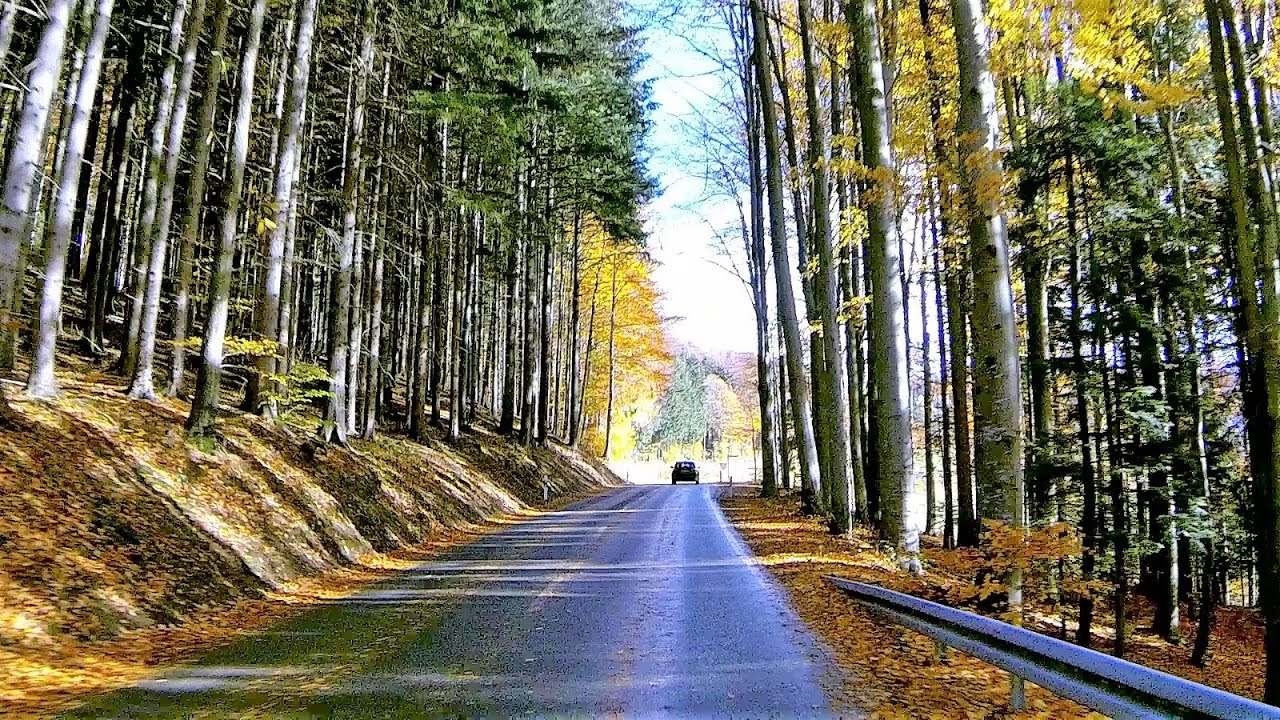 Schwarzwaldstraße/Kappelrodeck/Sasbachwalden/B 500
