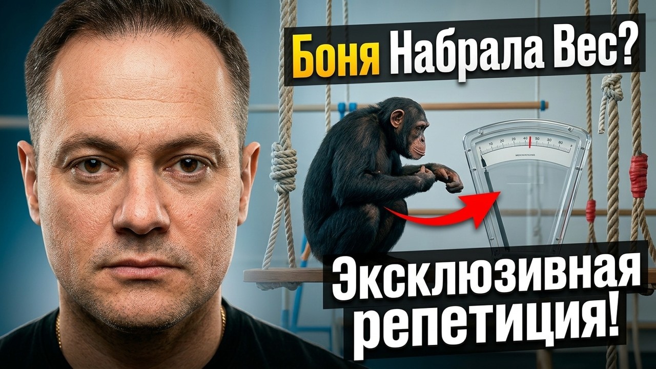 Шимпанзе Боня Набрала Вес? Эксклюзивная Репетиция Перед Душанбе!