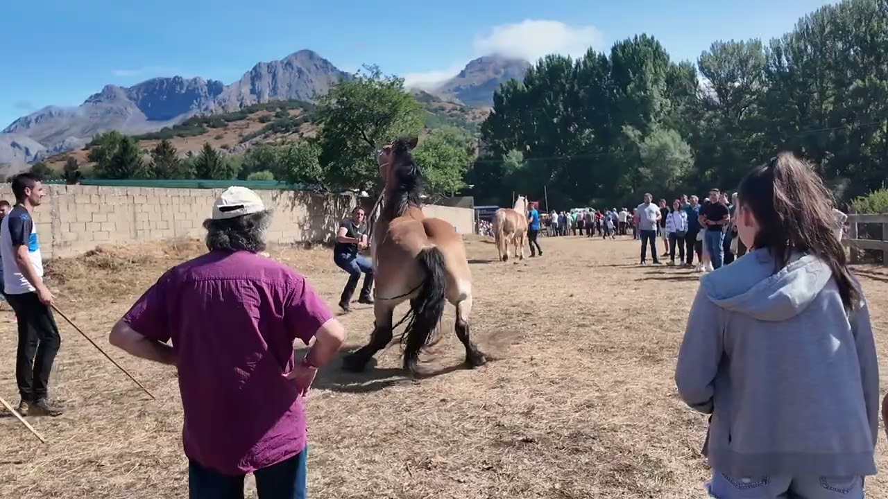 San Emiliano, próximamente programa completo en De Ruta Con Meji La8 León