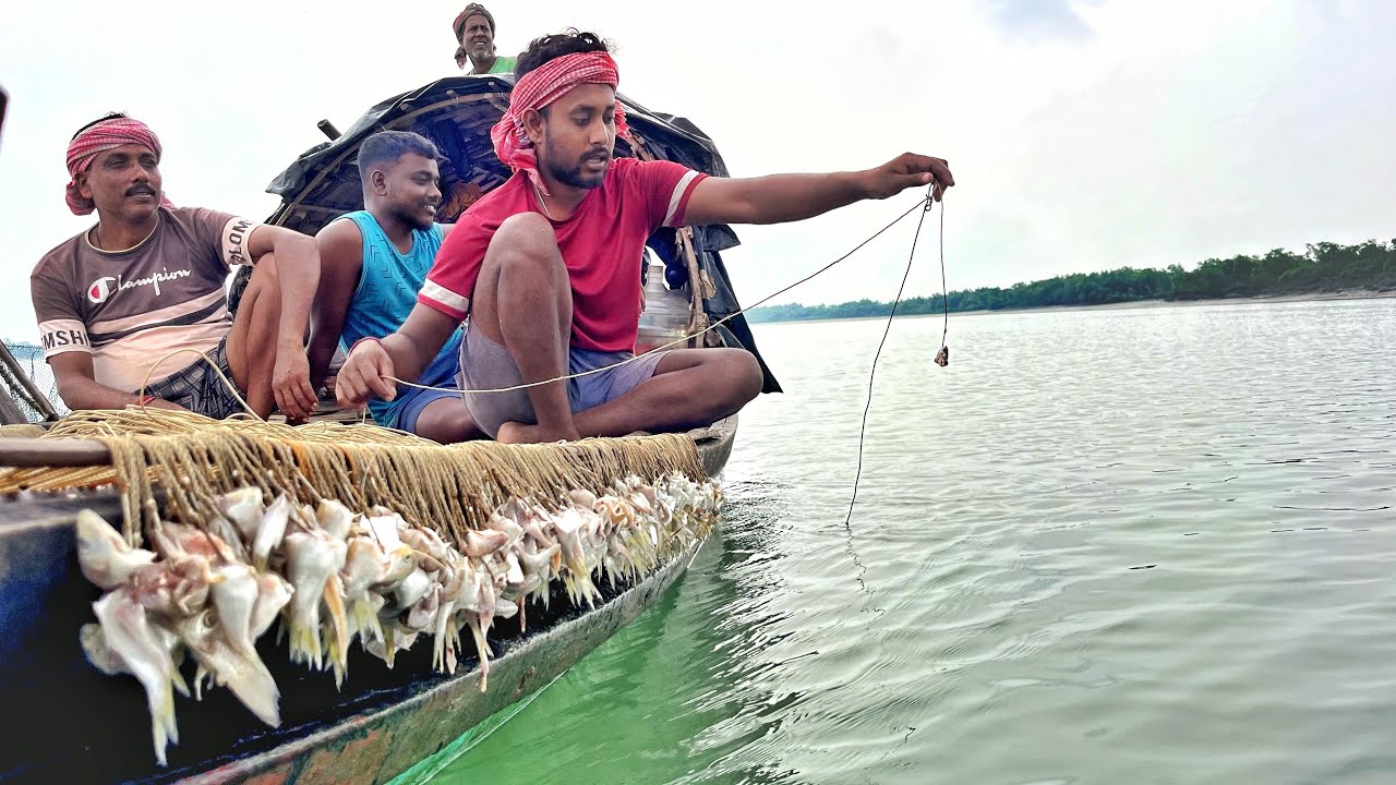সুন্দরবন নদীতে দুই খেও বরশি দিয়ে মাছ ধরলাম!!!@WILDLIFEOFSUNDARBAN-ft7nu