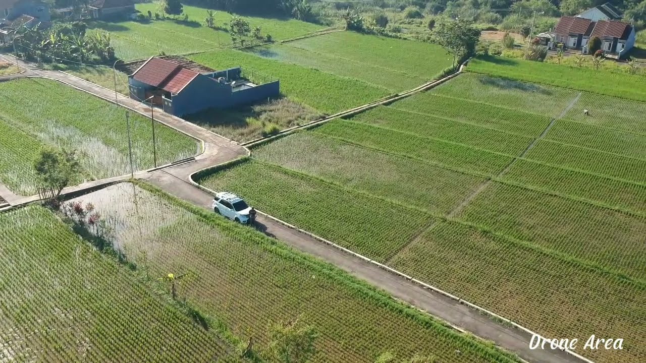 SAWAH DI TENGAH KOTA SUKABUMI YANG HEJO NGEMPLOH || Kp. Babakan Jampang