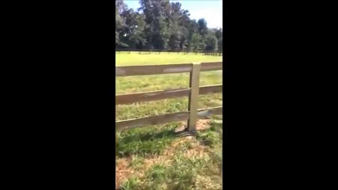 Farm fence