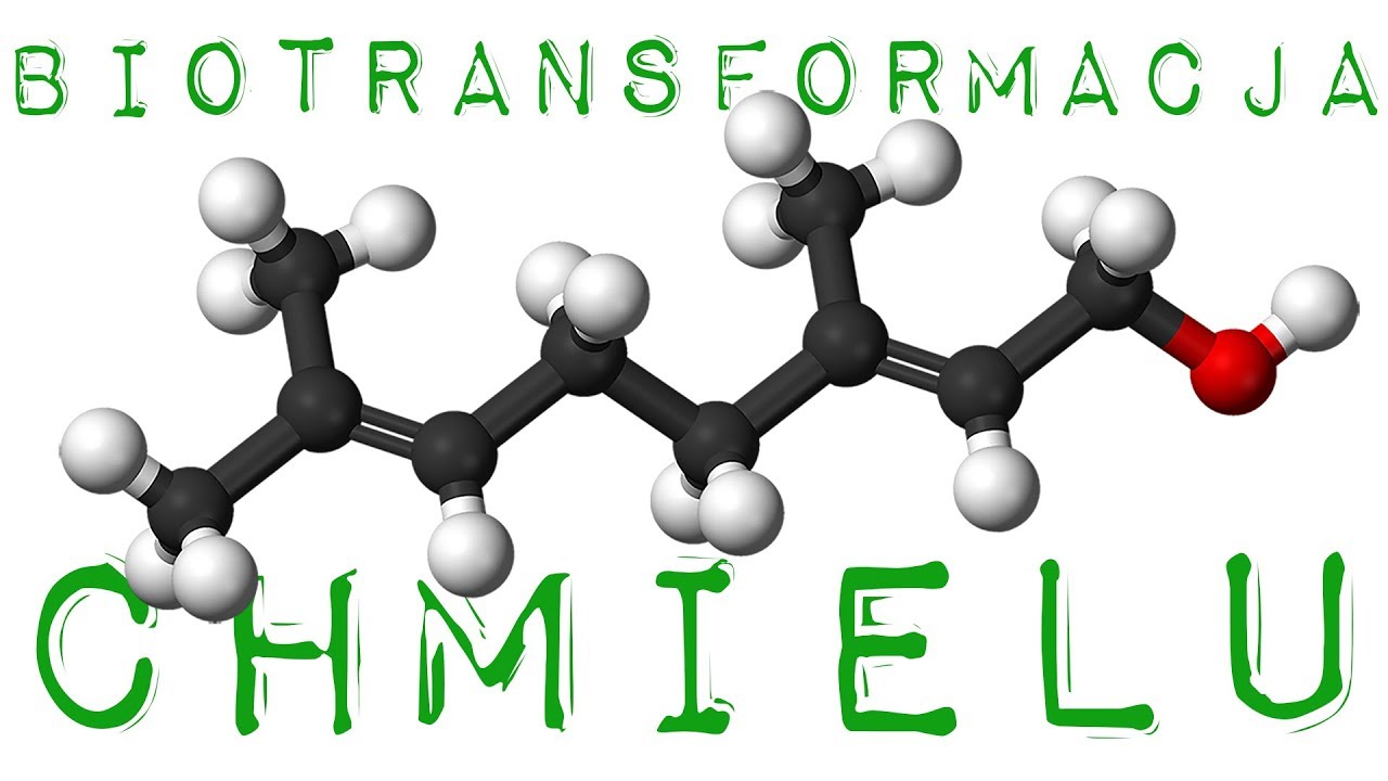 Biotransformacja chmielu. O co w tym chodzi?