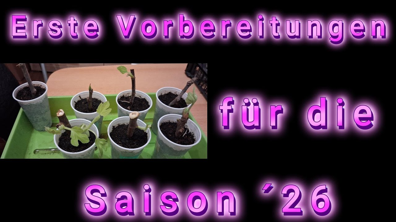 # 153 Erste Vorbereitungen für die neue Saison