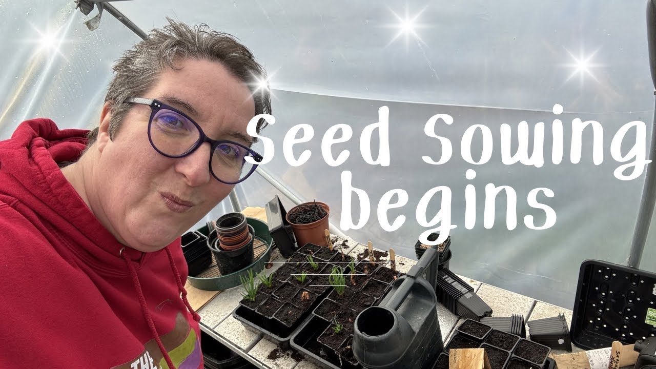 Allotment Update | Sowing leeks | Tomato varieties & Onion seedlings progress