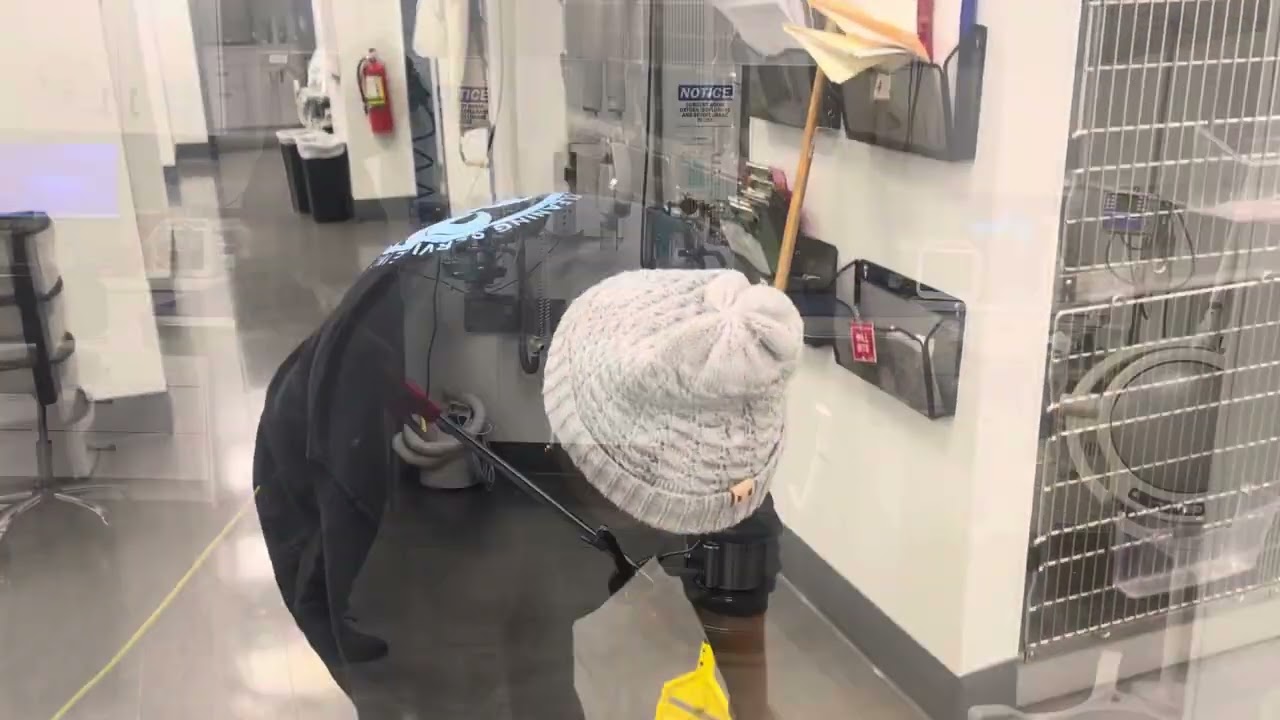 Deep cleaning clinic