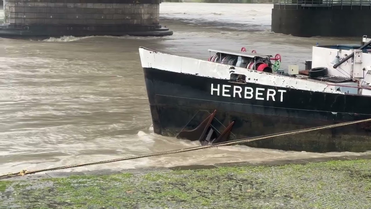 Hochwasser in Wien Donau und Neue Donau am Sonntag 15.09.2024