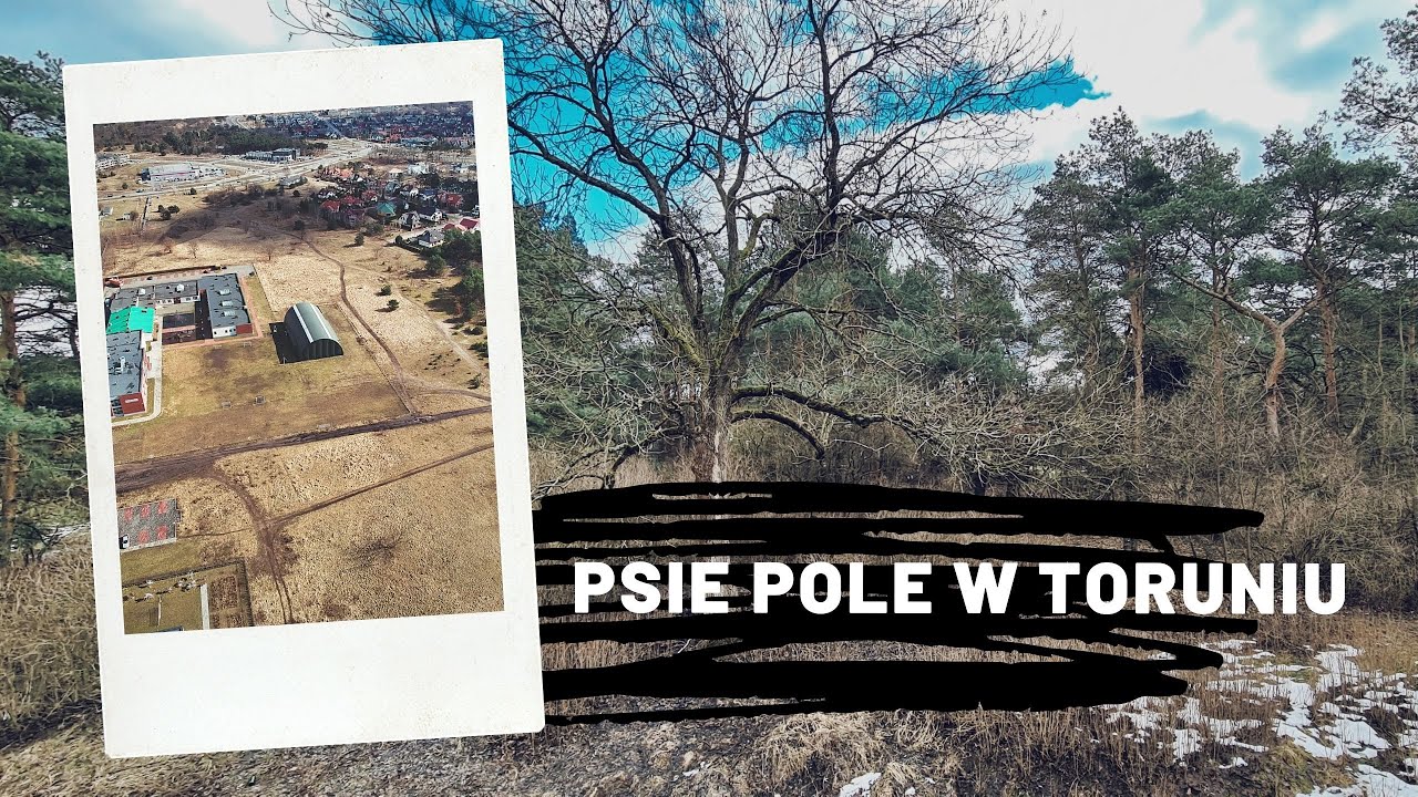 Psie Pole w Toruniu - Twierdza Toruń