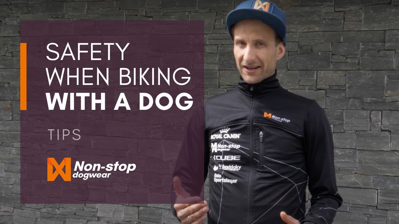 Safety tips when bikejoring