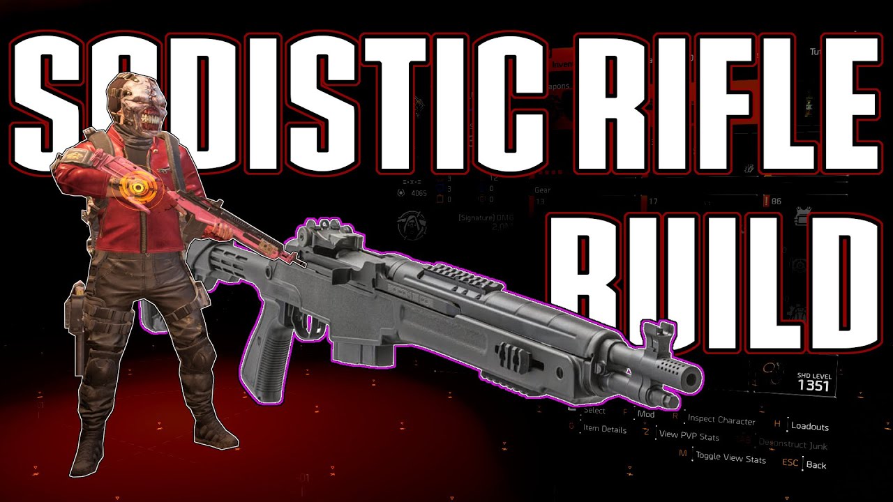 The Division 2 | This Rifle Build Dominates PVP | Melt Players Easily With This Setup!!