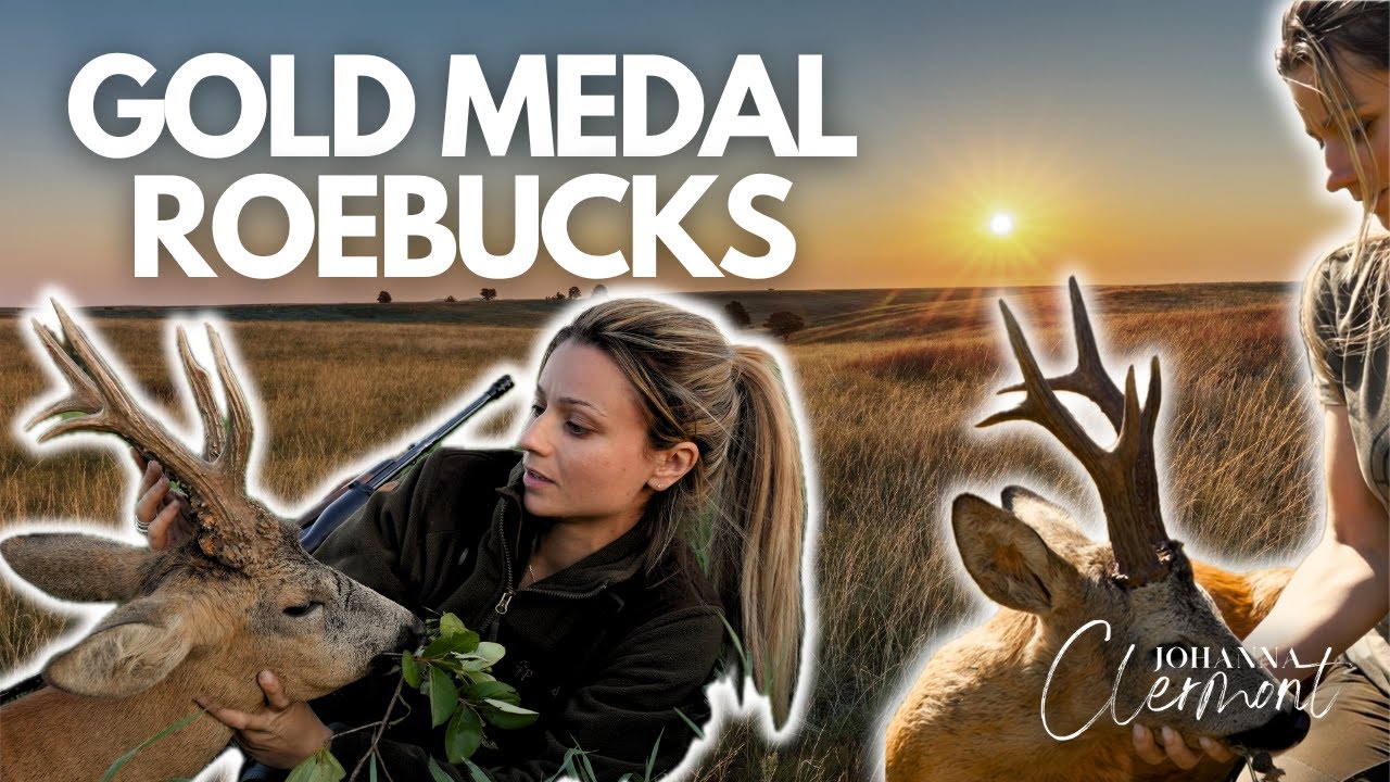 Roebuck Hunting &ndash; 4 Gold Medals, 1 Video. Poland&rsquo;s Finest Hunts | Johanna Clermont