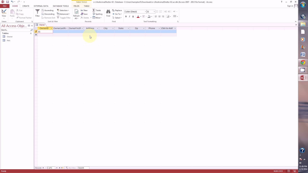 Access Independent Project 2-5