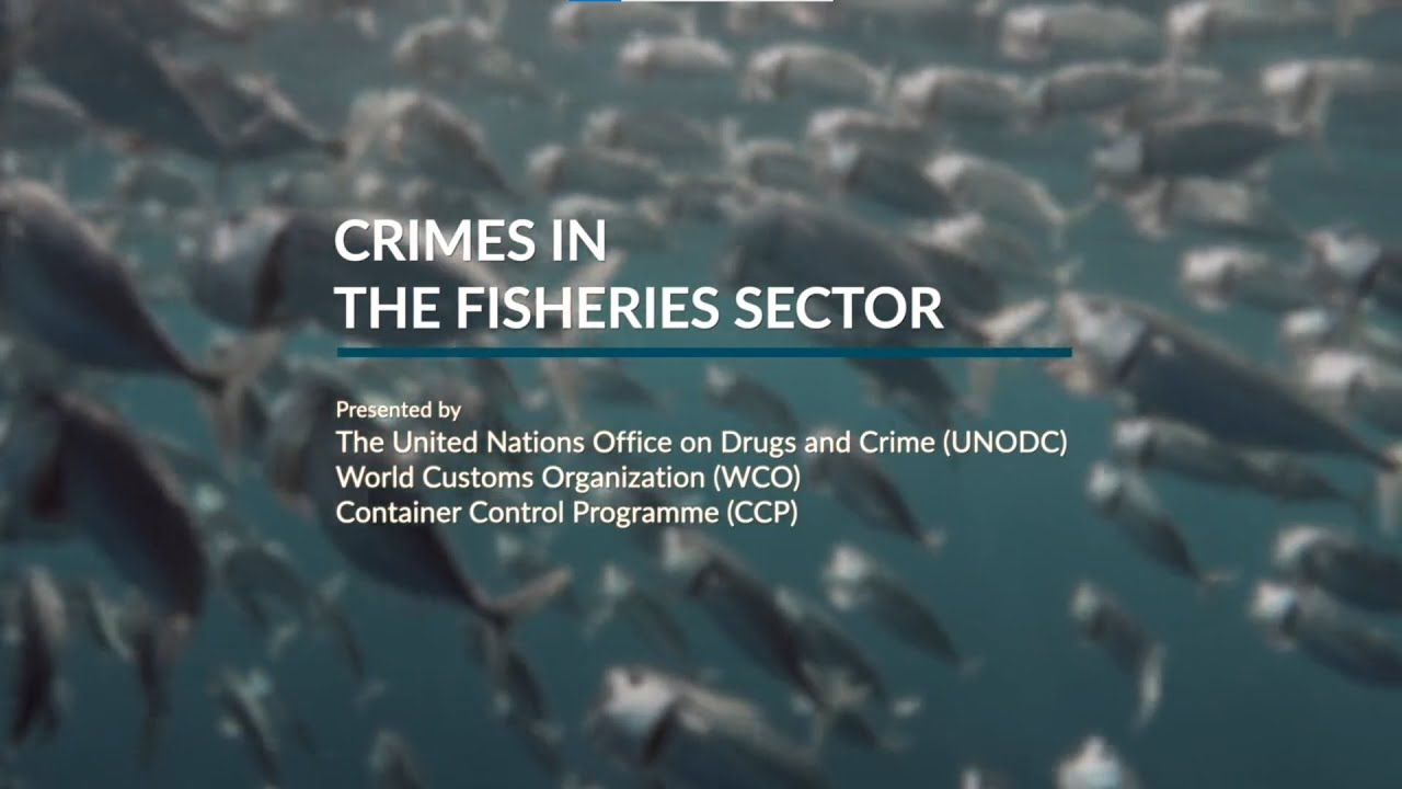 UNODC-WCO-CCP Crimes in the Fisheries Sector