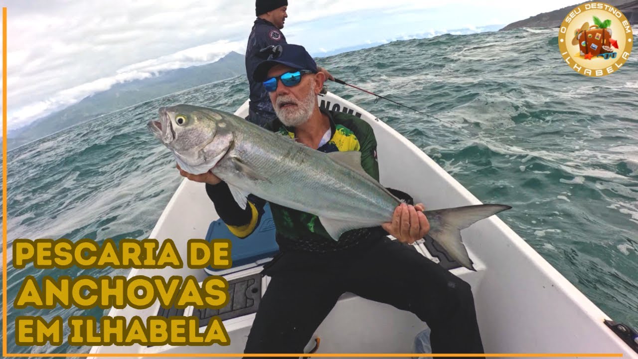 Pescaria de ANCHOVAS gigantes em ILHABELA l Só as GIGANTES