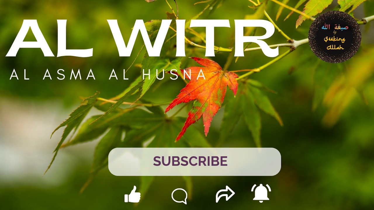 51.The Heavens and The Earth were created for the Oneness of Allah - Class 47 | #seekingallah
