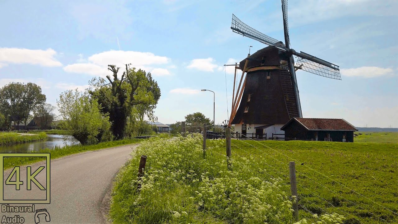 Relaxing Walk along the River Gein in a Typical Dutch Landscape. Binaural Ambient Sounds 4K 60/fps