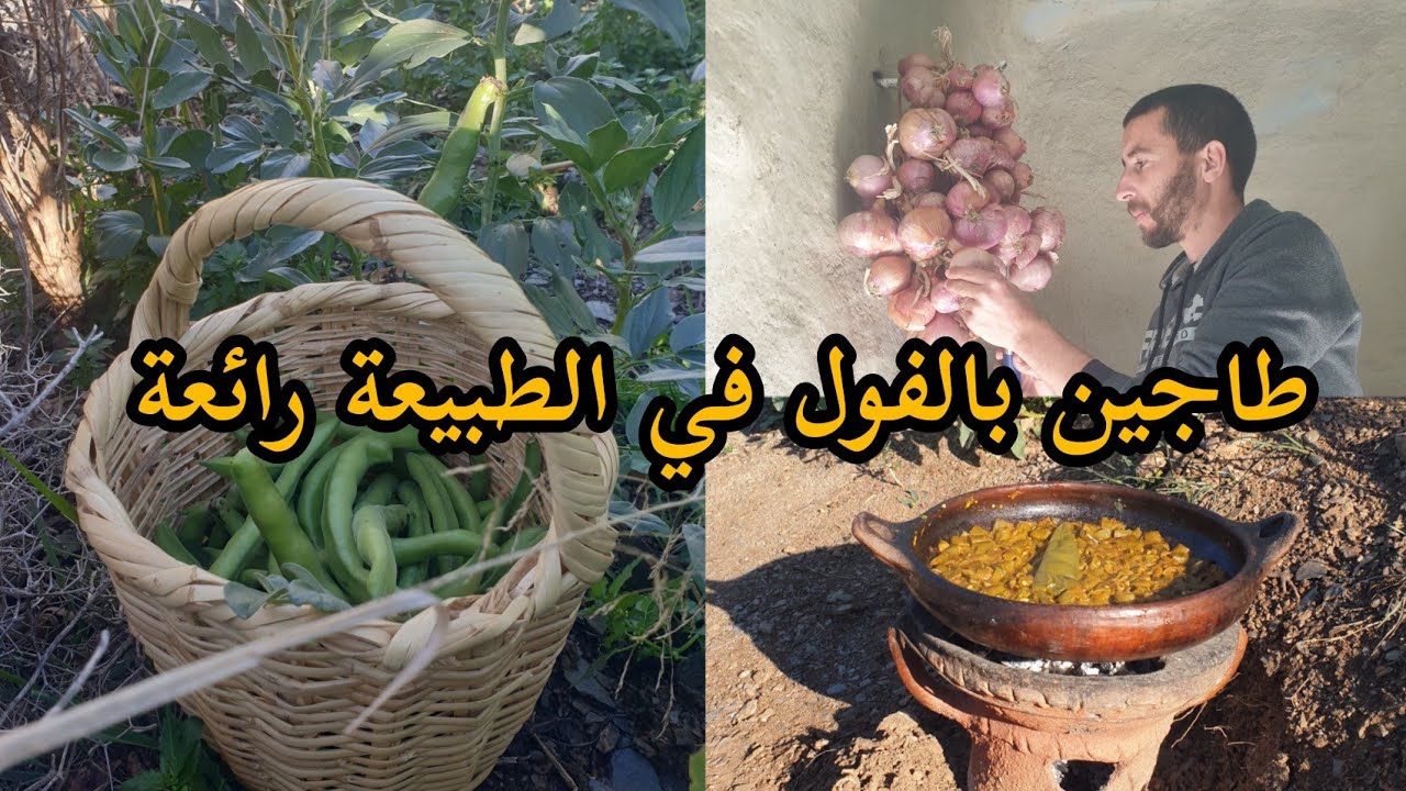 طاجين بالفول في الطبيعة رائعة على واد غيس نواحي الحسيمة